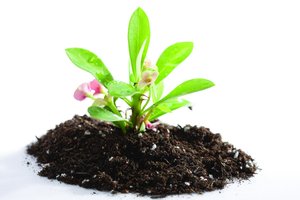 新人学整洁架构最需要掌握的内容